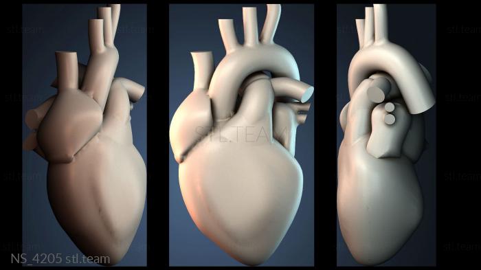 Нестандарт NS_4205