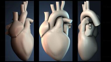 3D модель NESTANDART_4205 (STL)