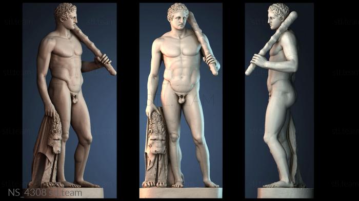 Нестандарт NS_4308