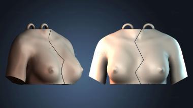 3D модель NESTANDART_4330 (STL)