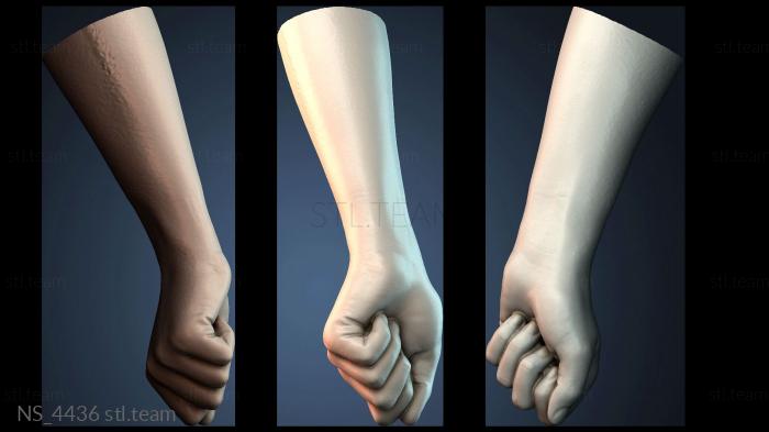 Нестандарт NS_4436