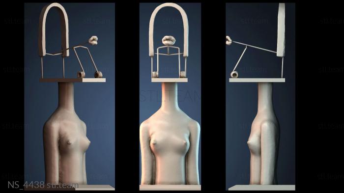 Нестандарт NS_4438