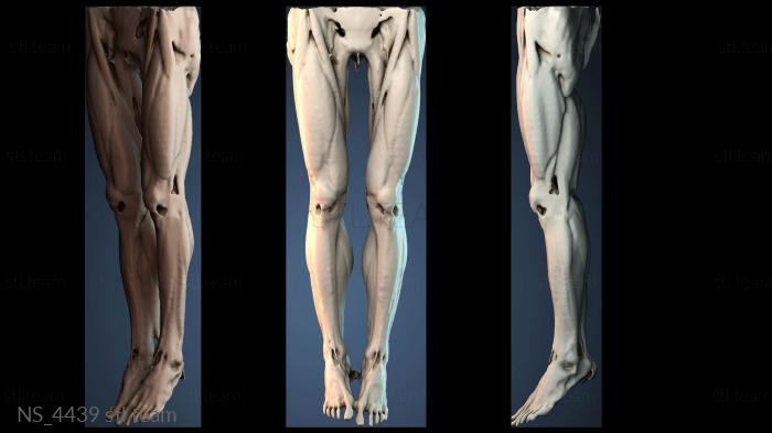 Нестандарт NS_4439