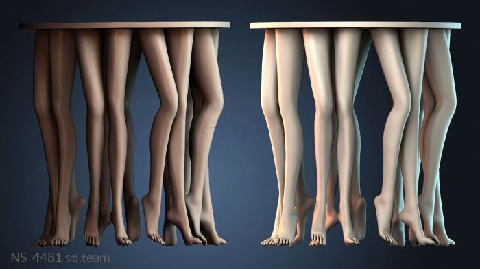 Нестандарт NS_4481