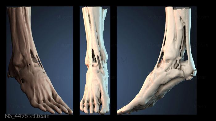 Нестандарт NS_4495