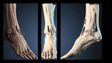 3D model NESTANDART_4495 (STL)