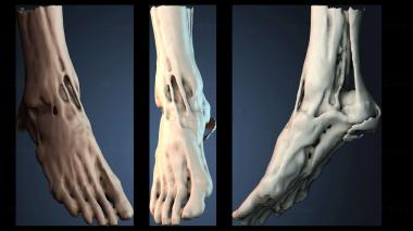 3D model NESTANDART_4496 (STL)