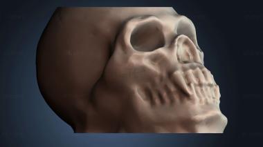 3D model NESTANDART_4511 (STL)