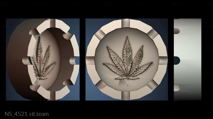 Нестандарт NS_4521