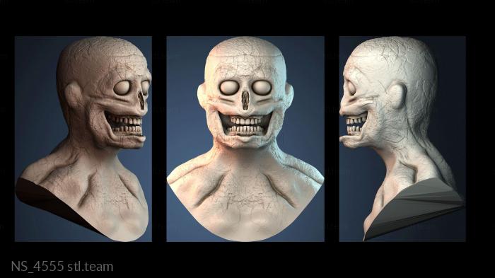 Нестандарт NS_4555