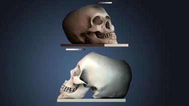 3D модель NESTANDART_4559 (STL)