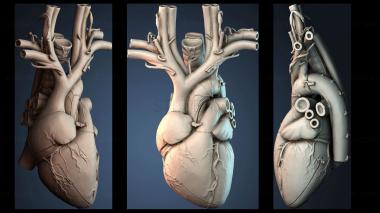 3D model NESTANDART_4575 (STL)