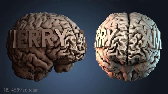 Нестандарт NS_4589