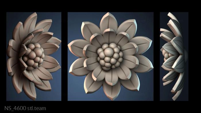 Нестандарт NS_4600