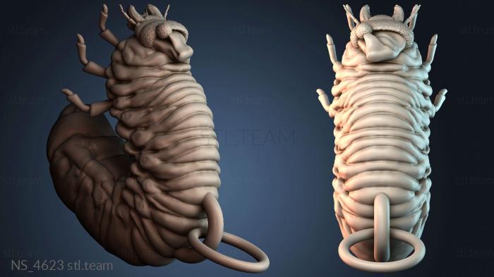 Нестандарт NS_4623