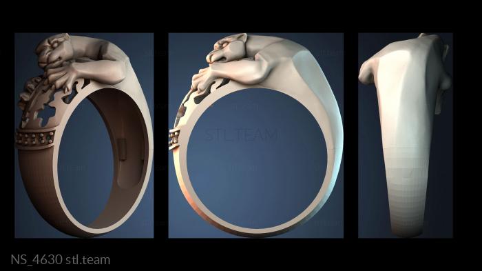 Нестандарт NS_4630