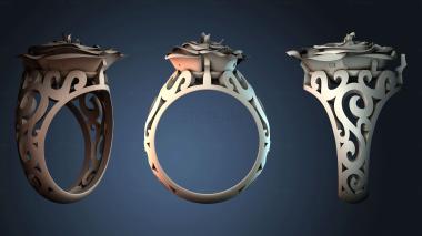 3D model NESTANDART_4655 (STL)