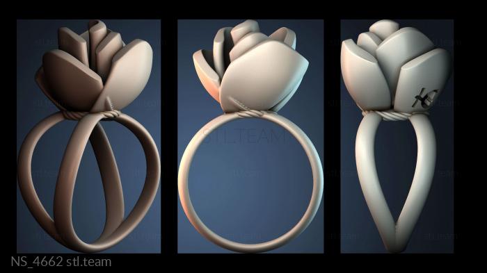 Нестандарт NS_4662