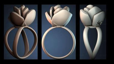 3D модель NESTANDART_4662 (STL)