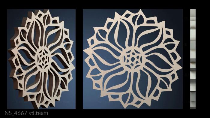 Нестандарт NS_4667