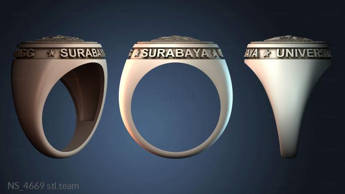 Нестандарт NS_4669