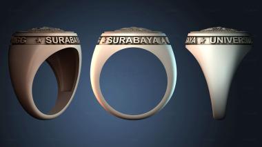 3D model NESTANDART_4669 (STL)