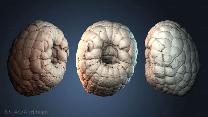 Нестандарт NS_4674