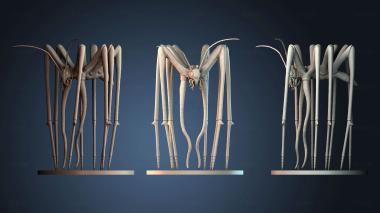 3D model NESTANDART_4689 (STL)