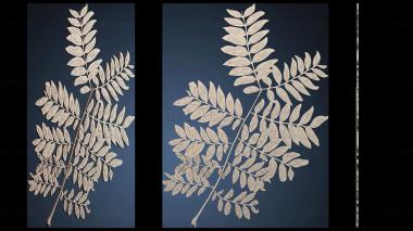 3D модель Нежный лист папоротника (STL)