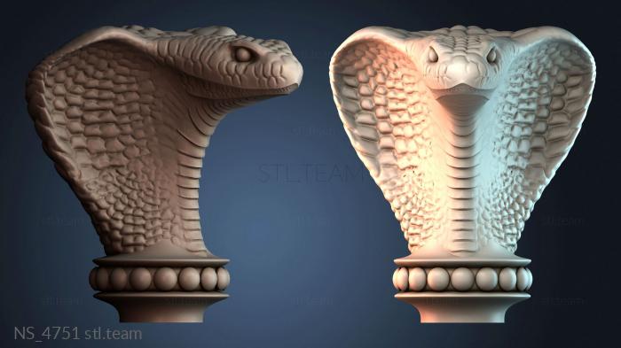 Нестандарт NS_4751