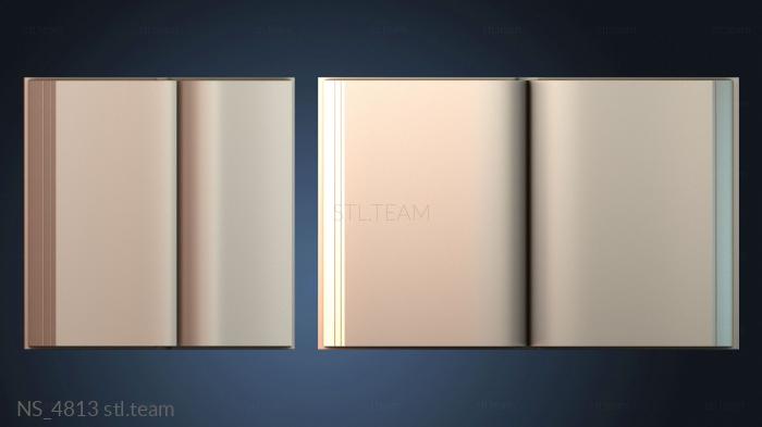 Нестандарт NS_4813