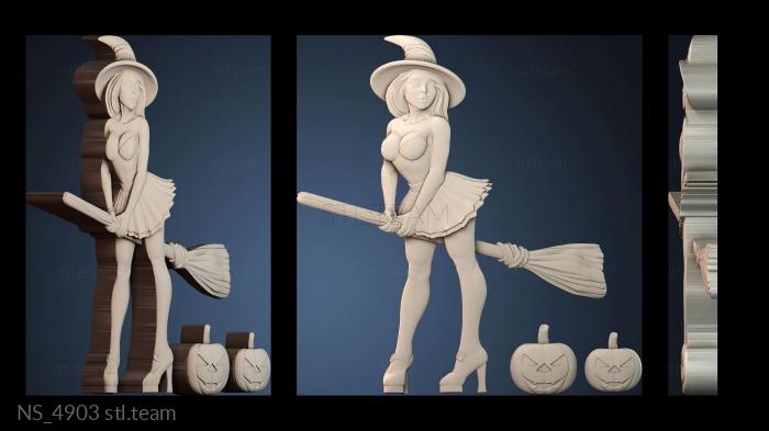 Нестандарт NS_4903