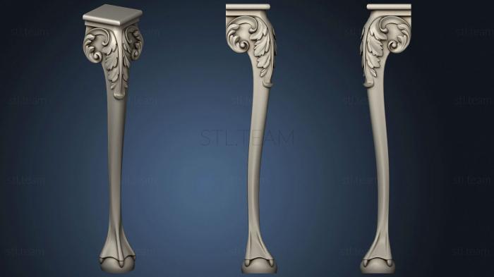 3D model The Leg Is Carved (STL)