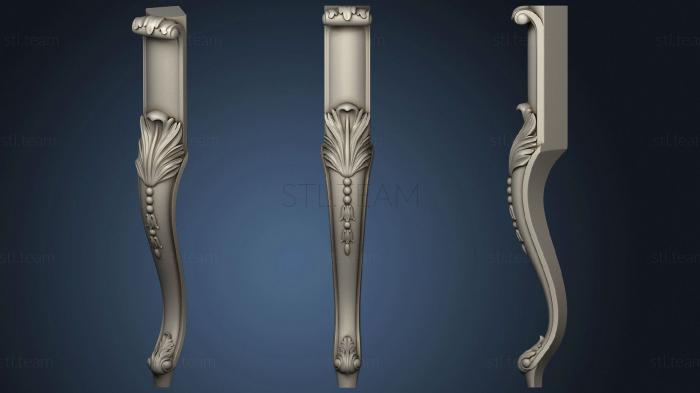 3D model The leg is carved (STL)