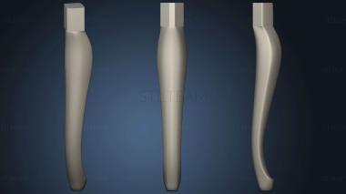 3D model The Leg Is Carved (STL)