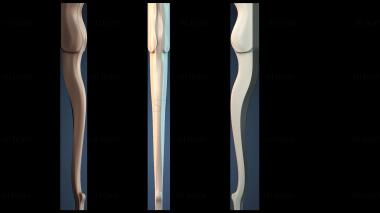 3D модель NІZHKA_1007 (STL)