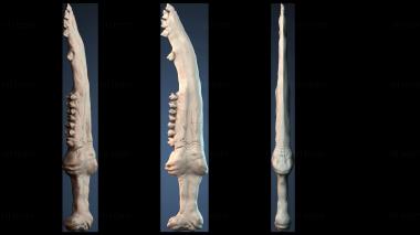 3D модель NІZHKA_1204 (STL)