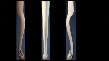 3D модель NІZHKA_1489 (STL)