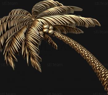 3D model Coconut tree (STL)