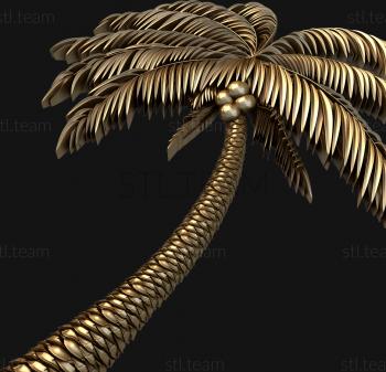 3D model Coconut tree (STL)