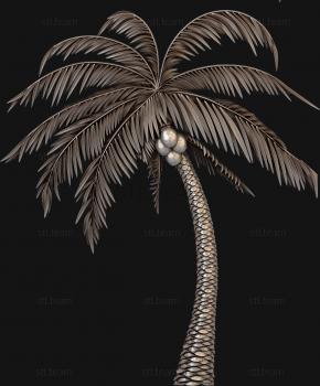 3D model Coconut tree (STL)