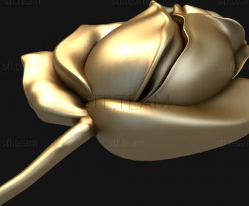 3D model Rosebud (STL)