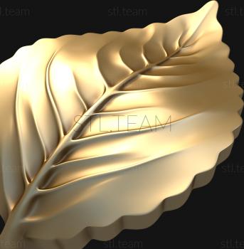 3D model Curved flower leaf (STL)