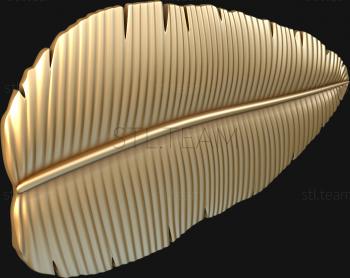3D модель Лист пальмы (STL)