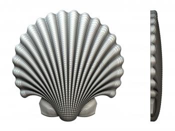 3D model Pearl shell (STL)