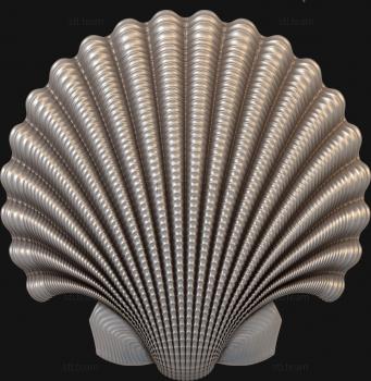 3D model Pearl shell (STL)