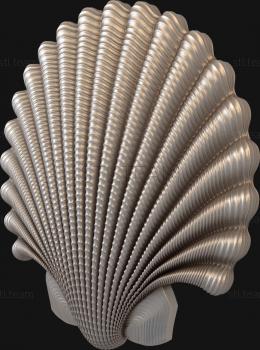 3D model Pearl shell (STL)