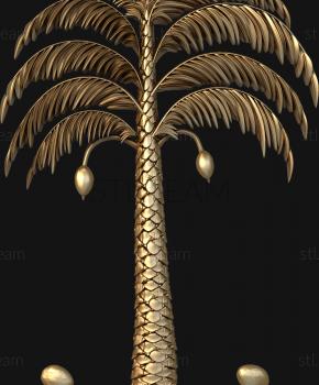 3D model Palm and coconut trees (STL)