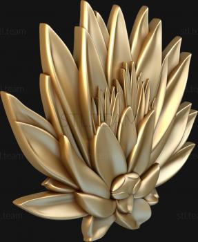 3D model Lotus flower (STL)