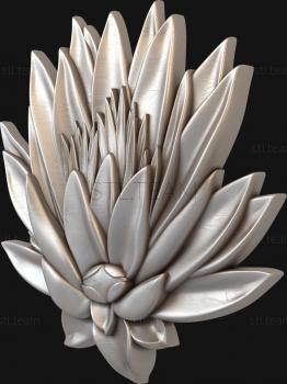 3D model Lotus flower (STL)